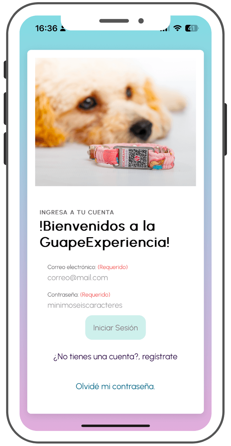 Iniciar sesión